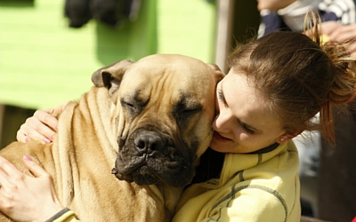 image for June 5th - 11th is Pet Appreciation Week!